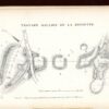 Les Mines d'Or d'Auvergne - J. Demarty – Image 4