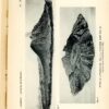 Alfred Lacroix - Le volcan actif de l'ile de la Réunion – Image 4